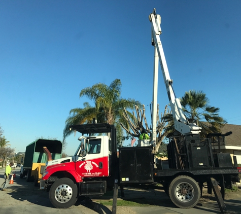 Angel's Tree Service - Orange, CA