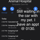 VCA Animal Care Clinic