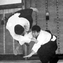 Aikido White Plains - Health Clubs