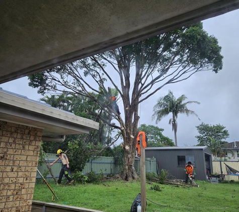 Acclaim Tree Care & Services - Wacol, QLD