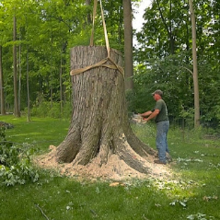 Oakland Tree Service - Rochester Hills, MI