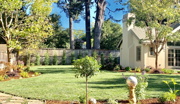 Evergreen Landscapes - San Mateo, CA. Complete backyard landscape.
