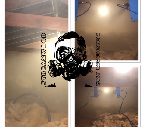 Streamwood Mold Remediation - Streamwood, IL