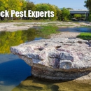 Bulwark Exterminating - Pest Control Services