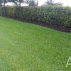 Vinehill Lawn Care gallery