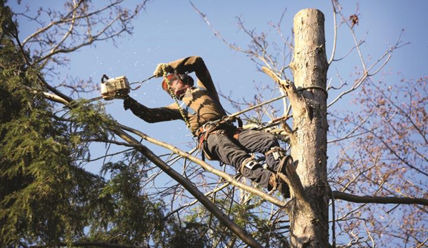 La Porte Mowing & Tree Extreme SVC - Princeton, IL