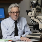 Marc K. Rosenblum, MD - MSK Pathologist