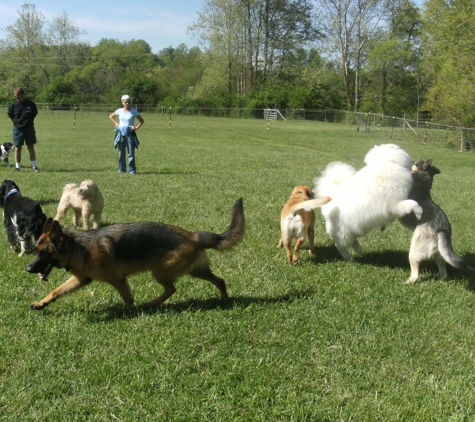 Spring Valley Farm Dog Care - Pisgah Forest, NC