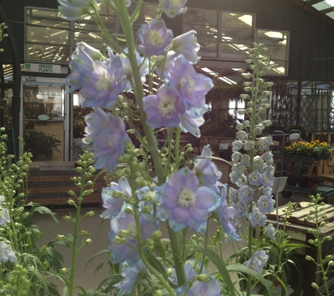 Perino's Home & Garden Center - Metairie, LA