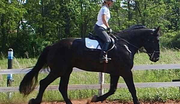 Westfield Equestrian Farm LLC - Dillsburg, PA