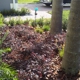 Best landscape services corp.