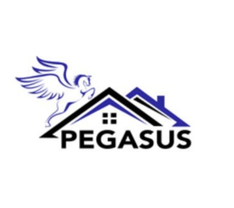 Pegasus Restoration LLC - Columbus, OH