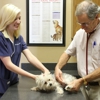 Arlington Pet Care Hospital gallery