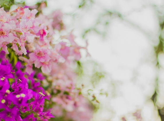 Handley & Anderson Funeral Directors - North Wonthaggi, VIC