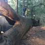 Photo #11