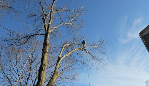 ASC Tree Service INC - Derry, NH