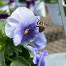 Four Seasons Nursery - Garden Centers
