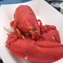 Blue Collar Lobster Co - Restaurants