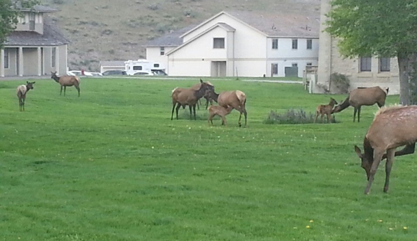 Mammoth Hot Springs Hotel and Cabins - Yellowstone National Park, WY