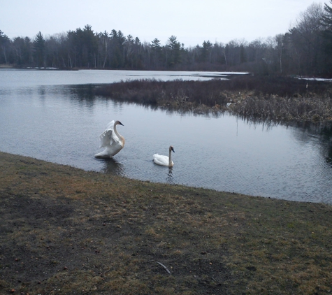 CampMorr CampGround - Kalkaska, MI