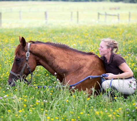 S.A.T.R. Equine Services - Chardon, OH