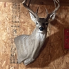 Sportsmen's Wildlife Studio gallery