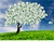 Christine J Boyce - Bookkeeping Services