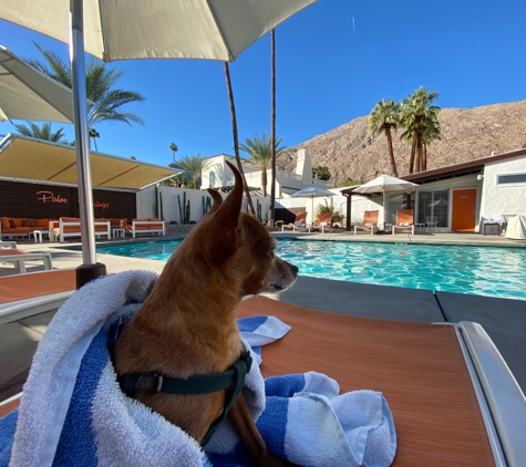 Del Marcos Hotel - Palm Springs, CA