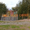 Jungle Fever Exotics gallery