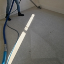 Perfection Carpet Cleaners - Carpet & Rug Cleaners