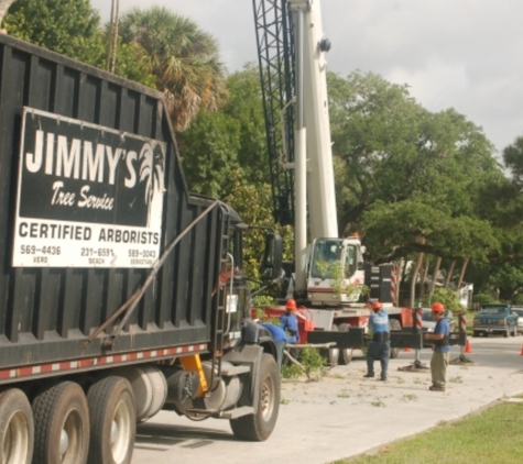 Jimmy's Tree Service