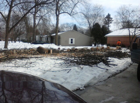 Top Flight Tree Removal LLC - Saginaw, MI