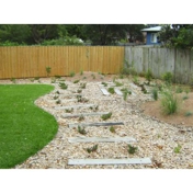 Gallery Image Number 5
