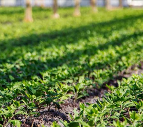 Floraco Pty Ltd - West Leederville, WA