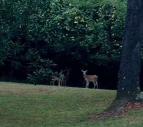 Collina Plantation Inn - Port Gibson, MS