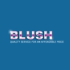 Blush Cleaning Service LLC gallery