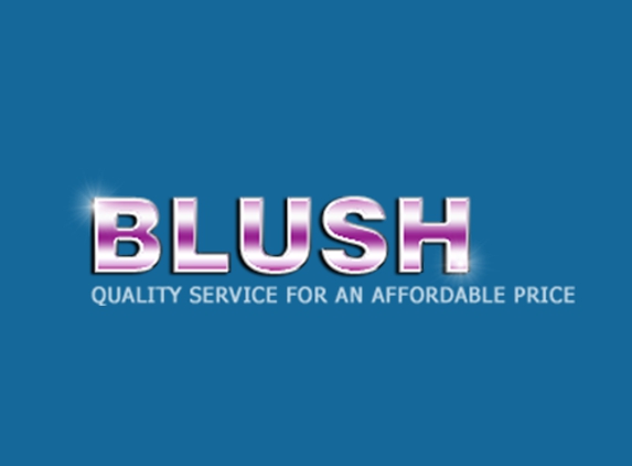 Blush Cleaning Service LLC - North Billerica, MA