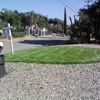 Tomas Landscaping & Tree Service gallery