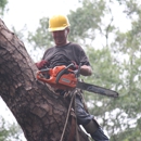 Coast to Coast Tree Service - Tree Service