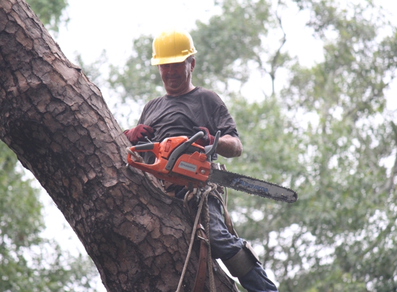 Coast to Coast Tree Service - Wilmington, NC