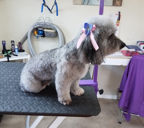 Puppy Love Grooming - Hotchkiss, CO. MAKEOVER MY MUTT Winner