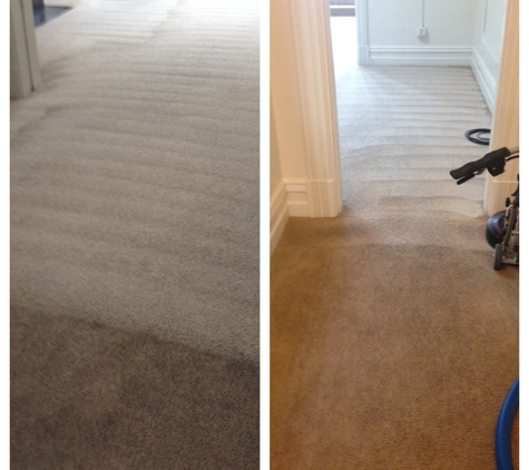 WT Carpet Cleaning - Oxford, OH