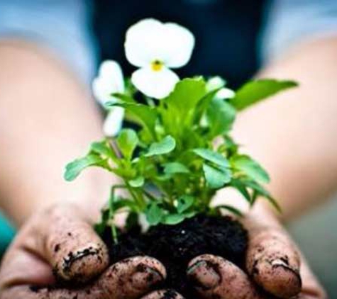 Cooroy Landscape Supplies - Cooroy, QLD