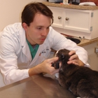 Frederick Cat Vet