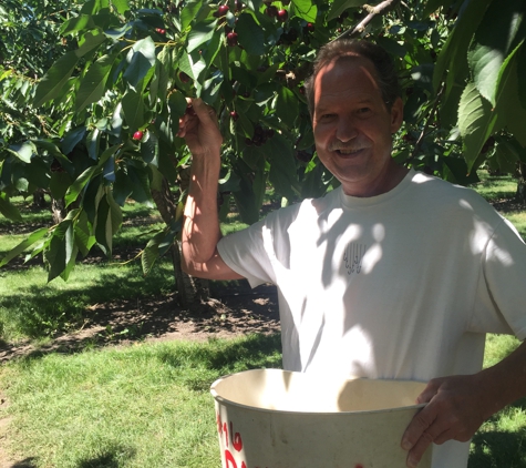 Hamilton's Marketplace Family Foods - Hamilton, MT. Picking Fresh Flathead cherries for Hamilton HMP����