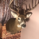 Charles Corcoran Taxidermy - Taxidermists