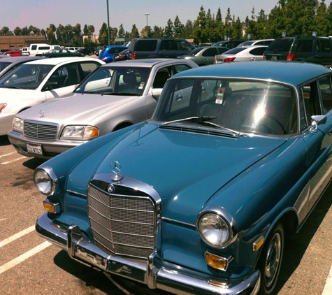 Ball Cast Member Parking - Anaheim, CA