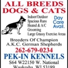 Pek-In Kennels gallery