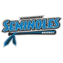 Noles Nation Training Academy - Schaumburg Seminoles Baseball - Baseball Instruction
