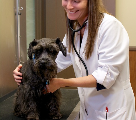 Animal Medical Clinic PA - Melbourne, FL